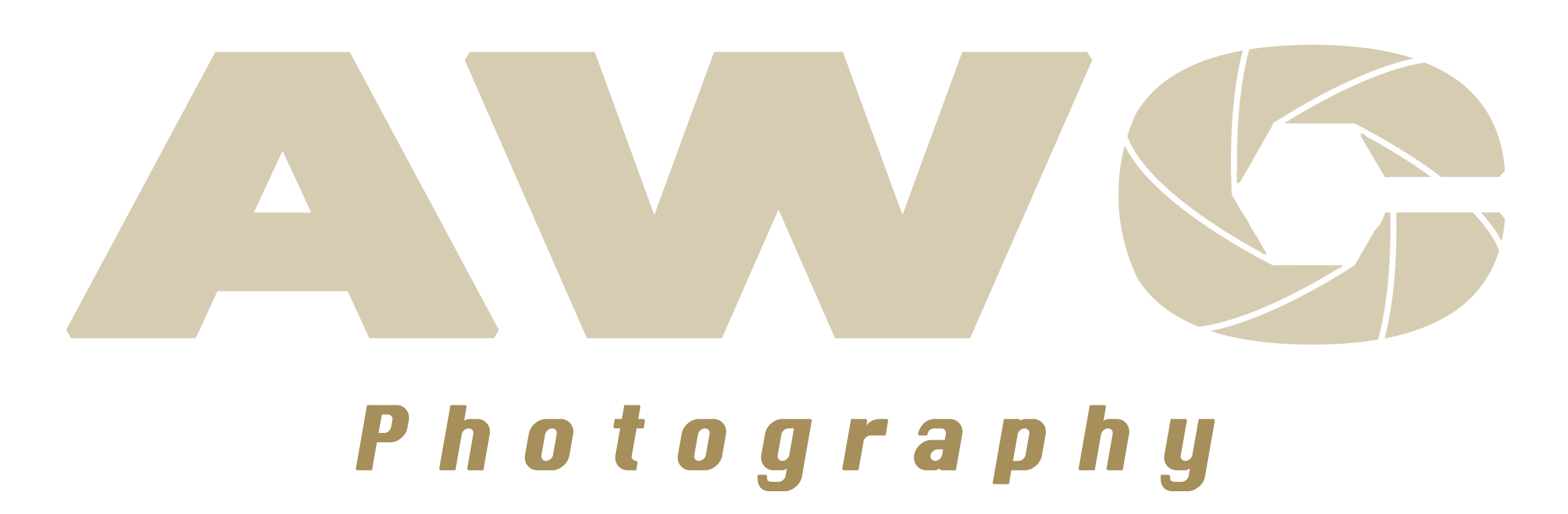 Anonymous With A Camera